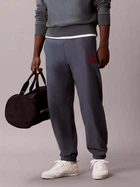 Спортивные штаны мужские Calvin Klein 4LG216G-CEG(Dark Slate) XL Темно-серые (199640233623)