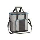 Термосумка Time Eco TE-334S 35л GREY (6215028111582GREY)