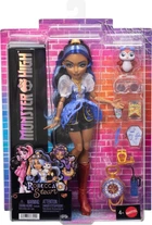 Кукла с аксессуарами Mattel Monster High Монстро-классика Робекка Стим (JMB81)