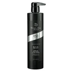 Восстанавливающий шампунь Ботокс DSD de Luxe 5.1.1 Botox Hair Therapy de Luxe 500 мл