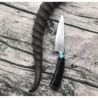 Нож КОЛЛЕКЦИОННЫЙ Дамаск XCD188 - изображение 2