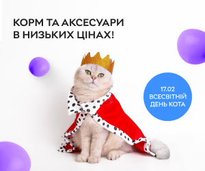 🐱 Час на розпещення! Cпеціальна пропозиція до Всесвітнього дня Кота! 🐾